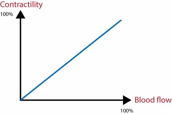 Figure 1. The relation between myocardial oxygen supply and contractile function. The relation is almost linear, meaning that contractile function is perfectly aligned with blood flow. It follows that contractility increases when blood flow increases (to a certain limit) and it may also decreases when blood flow is reduced.