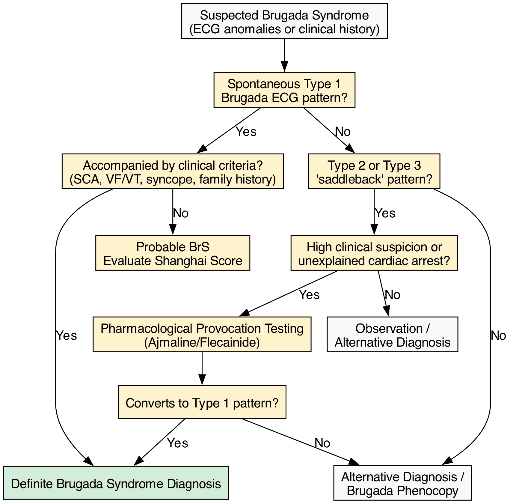 Diagnostic Algorithm for Suspected Brugada Syndrome
